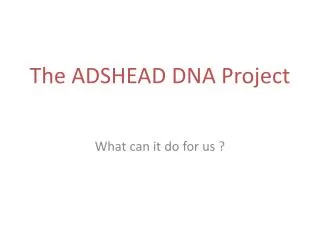 The ADSHEAD DNA Project