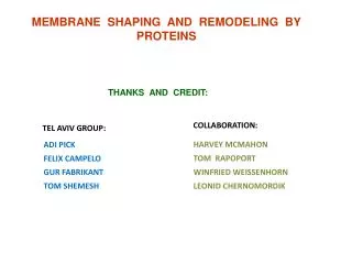 MEMBRANE SHAPING AND REMODELING BY PROTEINS