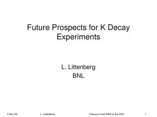Future Prospects for K Decay Experiments