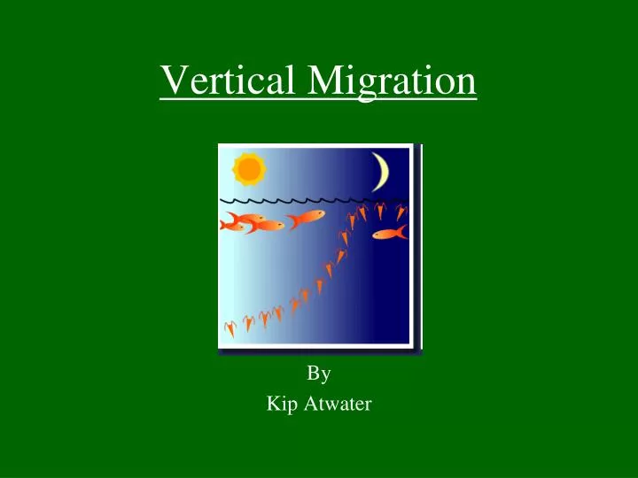 vertical migration