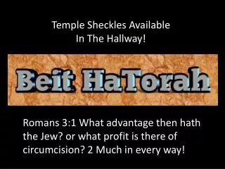 Temple Sheckles Available In The Hallway!