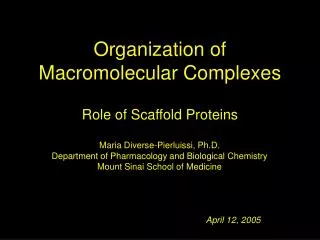 Organization of Macromolecular Complexes