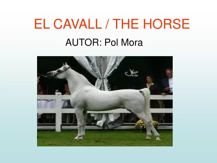 el cavall the horse