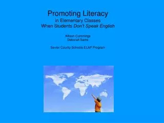 Promoting Literacy