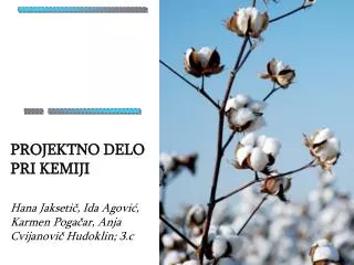 projektno delo pri kemiji