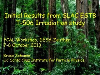 Initial Results from SLAC ESTB T-506 Irradiation study FCAL Workshop, DESY-Zeuthen