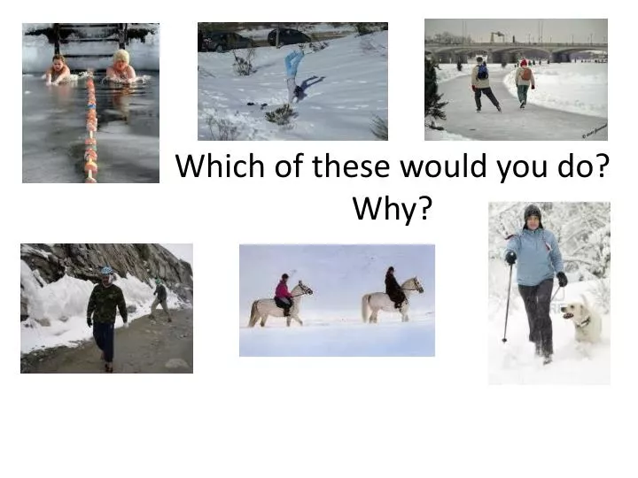 which of these would you do why