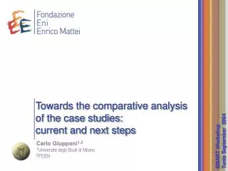 Towards the comparative analysis of the case studies: current and next steps