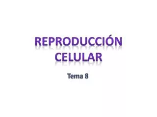 reproducci n celular