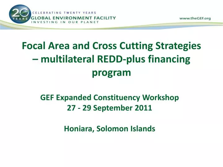 focal area and cross cutting strategies multilateral redd plus financing program