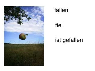fallen