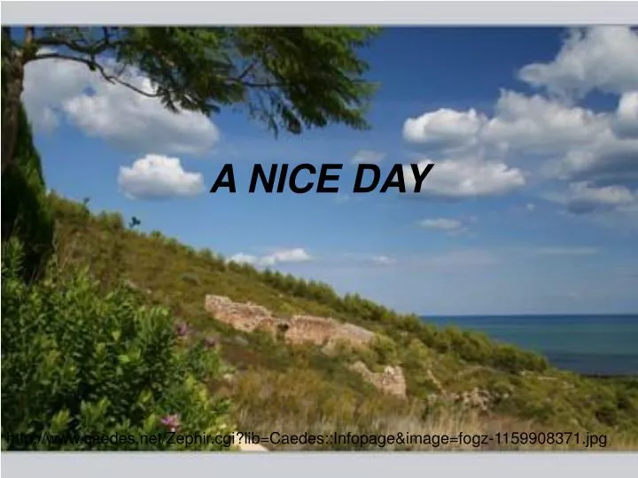 a nice day