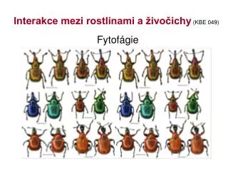 fytof gie