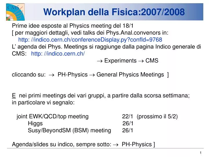 workplan della fisica 2007 2008