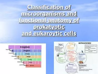 Classification of microorganisms and functional anatomy of prokatyotic and eukaroytic cells