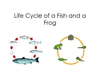 Life Cycle of a Fish and a Frog