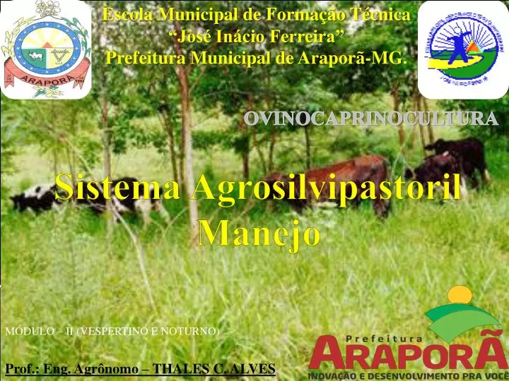 sistema agrosilvipastoril manejo