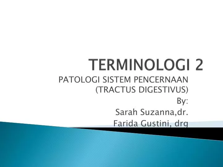 terminologi 2