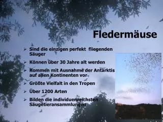 flederm use