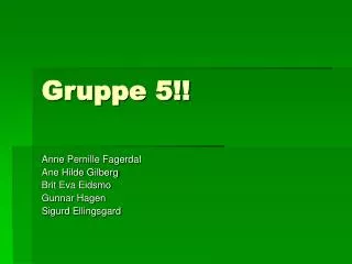gruppe 5