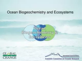 Ocean Biogeochemistry and Ecosystems