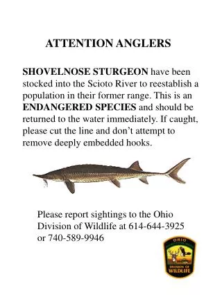 ATTENTION ANGLERS
