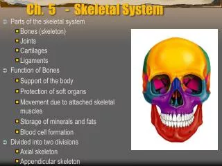 Ch. 5 - Skeletal System