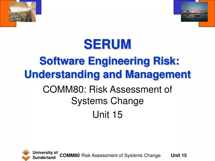 serum software engineering risk understanding and management