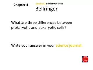 bellringer