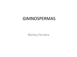 gimnospermas