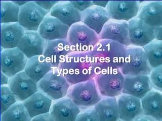 Section 2.1 Cell Structures and Types of Cells