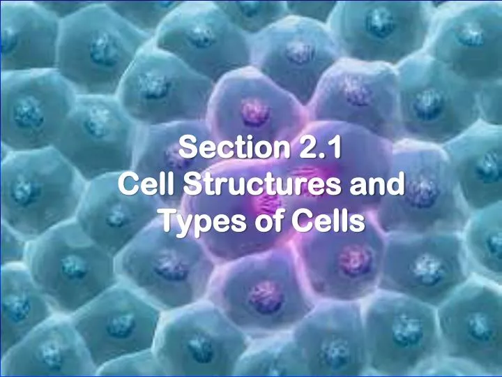 section 2 1 cell structures and types of cells