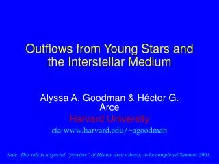 Outflows from Young Stars and the Interstellar Medium