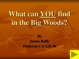 What can YOU find in the Big Woods?