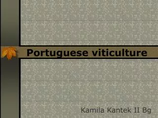 Portuguese viticulture