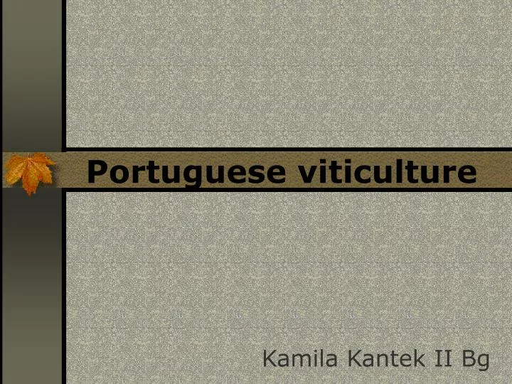 portuguese viticulture