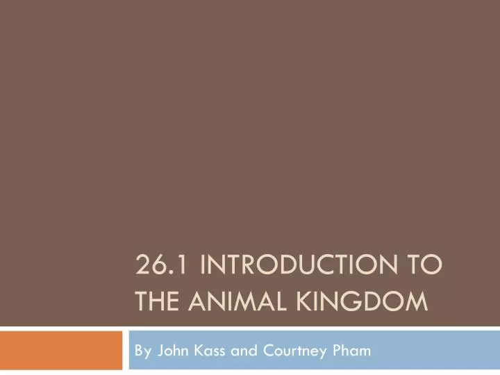 26 1 introduction to the animal kingdom