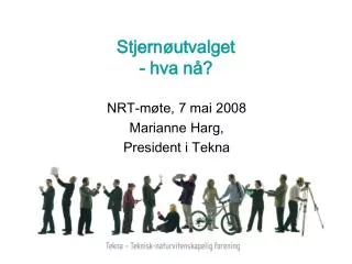 stjern utvalget hva n