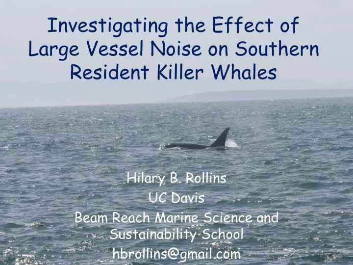 investigating the effect of large vessel noise on southern resident killer whales