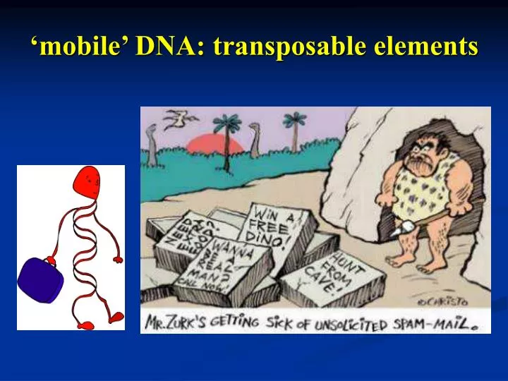 mobile dna transposable elements
