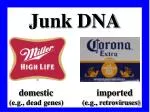 Junk DNA domestic imported (e.g., dead genes) (e.g., retroviruses) - slide 1