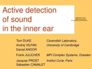 Active detection of sound in the inner ear