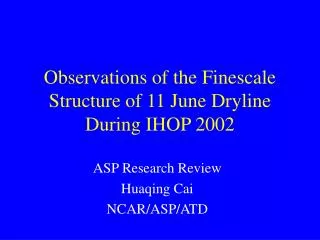 Observations of the Finescale Structure of 11 June Dryline During IHOP 2002