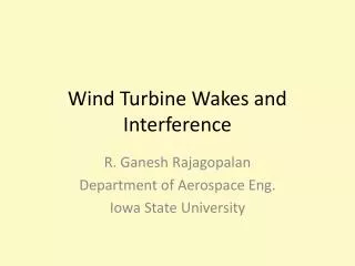Wind Turbine Wakes and Interference