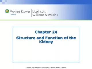 chapter 24 structure and function of the kidney