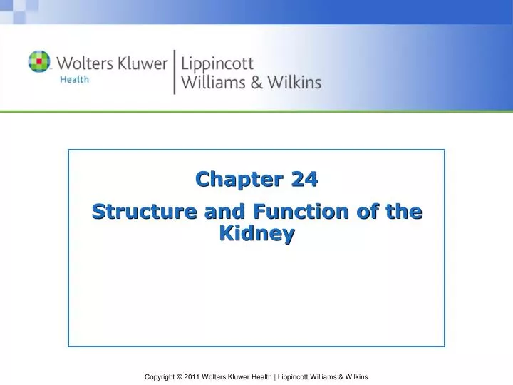 chapter 24 structure and function of the kidney