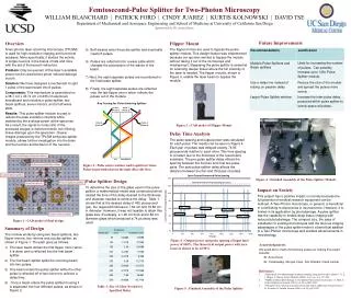 Femtosecond-Pulse Splitter for Two-Photon Microscopy