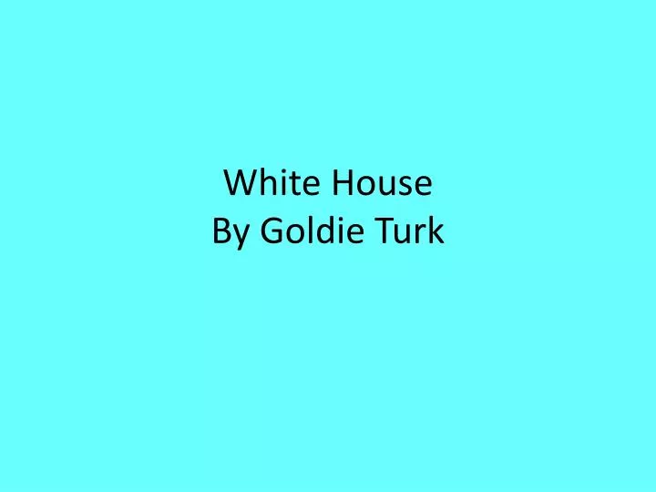 white house by goldie turk