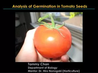 Analysis of Germination in Tomato Seeds