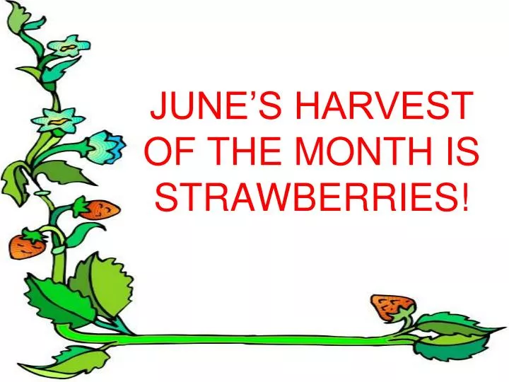 june s harvest of the month is strawberries